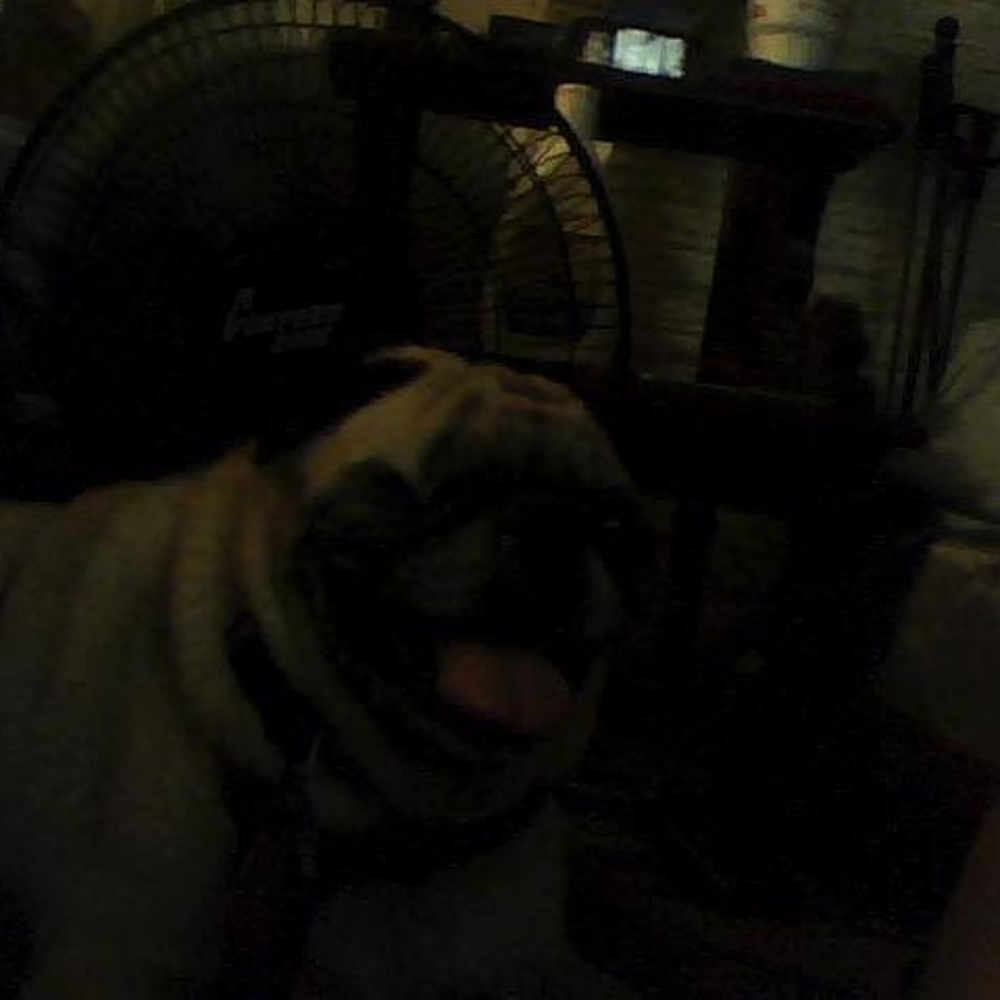 Meet your Posher, Margaret